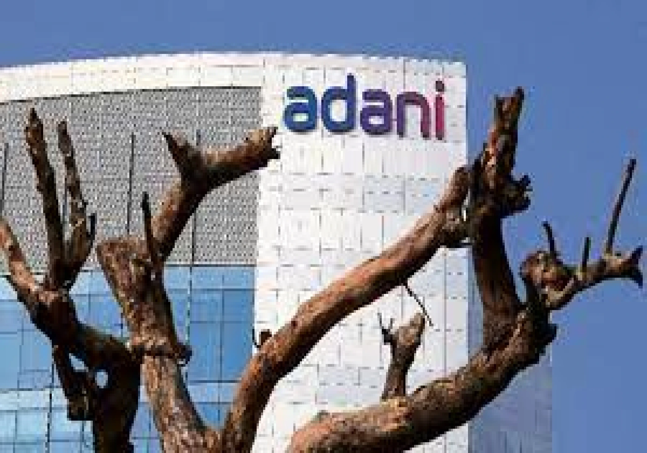 Adani Group Under US Bribery Probe: Shadow Over Indian Green Giant?